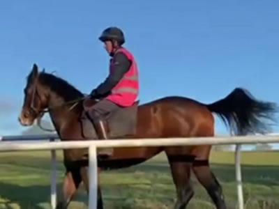 Kevin Beattie Racehorse
