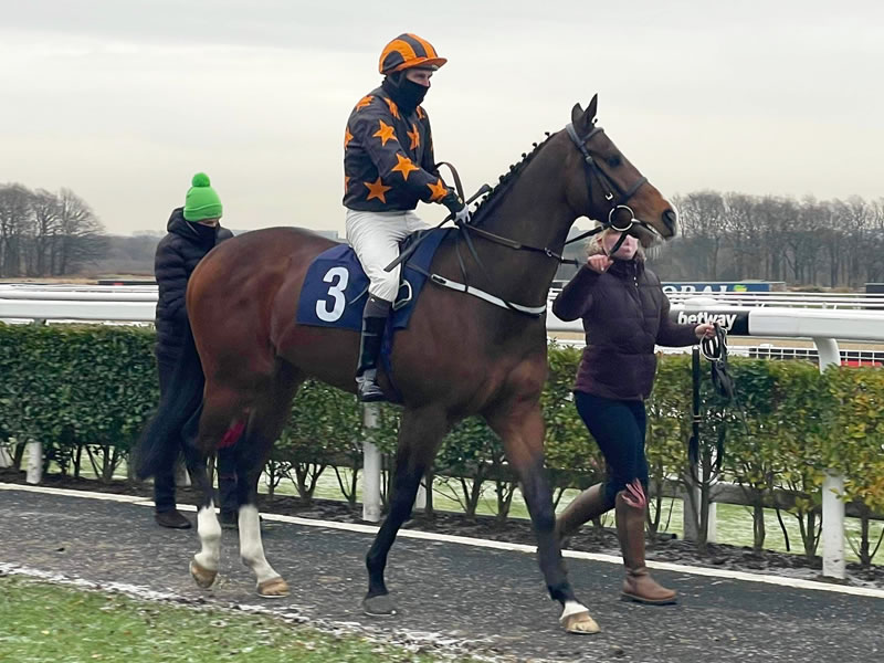 Beattie is Back debut