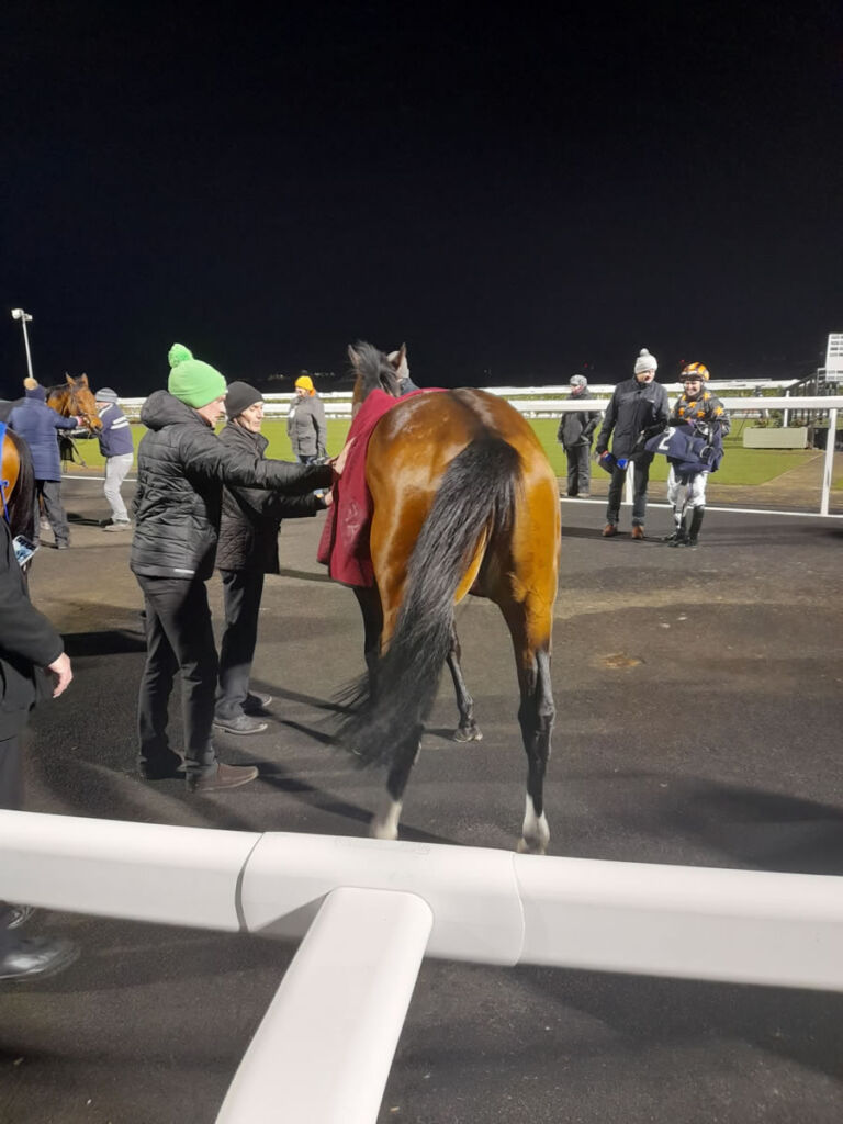 Beattie is Back wins at Newcastle Race Course